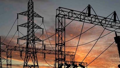 തൃശ്ശൂരിൽ വൈദ്യുതി കമ്പികൾ പൊട്ടി വീണ് ഷോക്കേറ്റ പശുക്കൾ ചത്തു