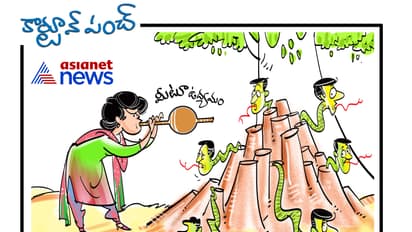 కార్టూన్ పంచ్