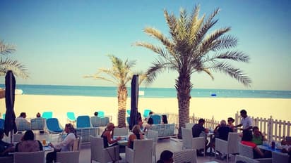 പുള്ളി തിമിംഗലം ഇറങ്ങി:അബുദാബി ബീച്ച് അടിച്ചിട്ടു