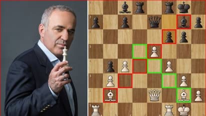 കാസ്പറോവ്, ചതുരംഗക്കളത്തിലെ കാര്‍ക്കശ്യക്കാരന്‍! തന്ത്രങ്ങള്‍ മിനുക്കി രാഷ്ട്രീയത്തിലും അതേ കൂര്‍മതയോടെ