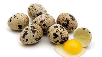 കാടമുട്ടയുടെ ആരോഗ്യഗുണങ്ങൾ അറിയാതെ പോകരുത്