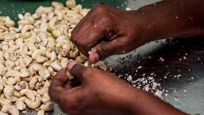 സംസ്ഥാനത്തെ കശുവണ്ടി വ്യവസായികള് വീണ്ടും സമരത്തിലേക്ക്