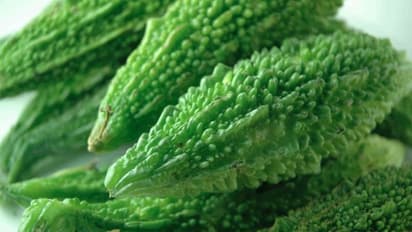 ಹಾಗಲಕಾಯಿ ಟೇಸ್ಟಿ ರೆಸಿಪಿ, ಈ ಸೀಕ್ರೇಟ್ ಮಸಾಲೆ ಹಾಕಿದ್ರೆ ಕಹಿ ಮಾಯ..!