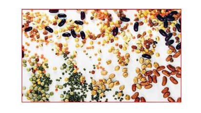 ಧಾರವಾಡದಲ್ಲಿ ಶುರುವಾಗ್ತಿದೆ ದೇಸಿ ಸಂತೆ