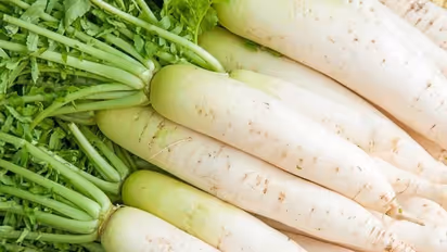 ತರಹೇವಾರಿ ರೋಗಕ್ಕೆ ಮೂಲಂಗಿ ಎಂಬ ತರಕಾರಿಯ ಮದ್ದು