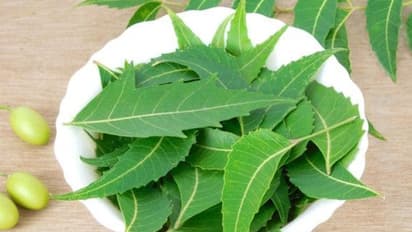 ആര്യവേപ്പിലയുടെ ഈ ആരോഗ്യഗുണങ്ങൾ അറിയാതെ പോകരുത്