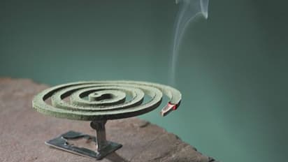 মশা তাড়ানোর কয়েল বা তেল, মশা নয় আপনার জন্য কতটা ক্ষতিকর জানেন