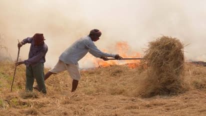 पिछले साल की तरह इस साल भी पराली जलने से दिल्ली का घुटेगा दम