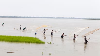 चीन ने रोका ब्रह्मपुत्र का पानी, कांग्रेस सांसद ने की सुषमा से दखल की मांग