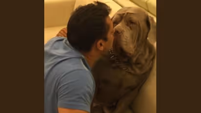 Distraught Salman Khan takes to Twitter after pet dog Mylove passes away