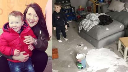 മകന് ചെറിയൊരു കുസൃതി കാണിച്ചു; അമ്മയ്ക്ക് നഷ്ടം ലക്ഷങ്ങള്