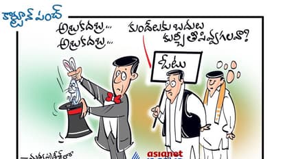 కార్టూన్ పంచ్