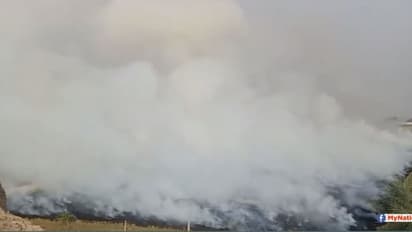 सारे प्रयास हो रहे फेल, हरियाणा में पराली जलाने से बाज नहीं आ रहे किसान