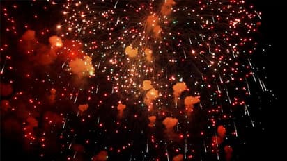 30 വര്‍ഷമായി ഈ ഗ്രാമങ്ങളില്‍ ദീപാവലിക്ക് പടക്കമില്ല; അത് ഈ പക്ഷികള്‍ക്ക് വേണ്ടിയാണ്