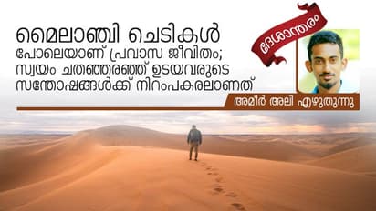 എങ്ങനെ കൂട്ടിക്കിഴിച്ചാലും പ്രവാസമെന്നത് പ്രയാസം തന്നെ!