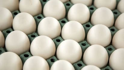 ಹೆಚ್ಚಿದ ಬೇಡಿಕೆ : ಮೊಟ್ಟೆ ಬೆಲೆ ಭಾರಿ ಏರಿಕೆ !