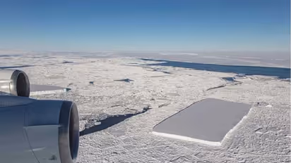 ಆಯತಾಕಾರದ ಐಸ್: ನೋಡಲು ತುಂಬಾ ನೈಸ್!