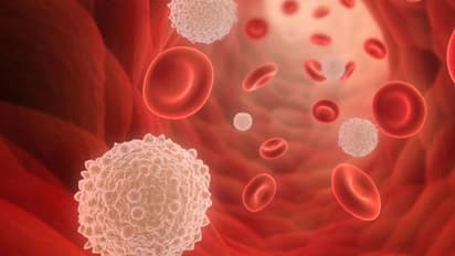 కరోనాపై పోరాటం... ఈ ఆహారంతో సాధ్యం..