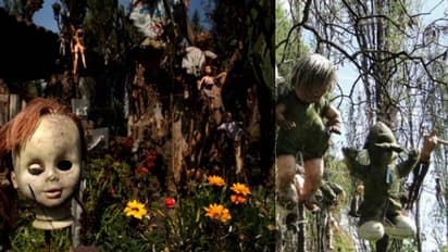 ഇത്, പേടിപ്പെടുത്തുന്ന പാവകളുടെ ദ്വീപ്!