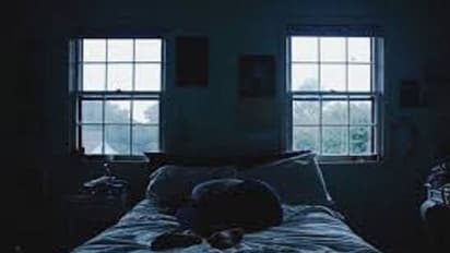 നെതര്ലാന്റ്സില് ഇപ്പോള് ചൂടുള്ള ചര്ച്ചാ വിഷയം വേശ്യാവൃത്തി; കാരണം ഇതാണ്