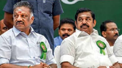 பொதுக்குழு தீர்ப்புக்கு எதிராக இபிஎஸ் மேல் முறையீடு...! உடனடியாக கேவியட் மனு தாக்கல் செய்த ஓபிஎஸ்