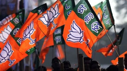 ಬಿಜೆಪಿಗೆ ಶಾಕ್ : ಸಿಡಿದೆದ್ದ ಮಿತ್ರಪಕ್ಷ