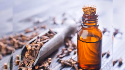 গরমে ত্বকের একাধিক সমস্যা দূর হবে লবঙ্গ তেলের গুণে, জেনে নিন কীভাবে ব্যবহার করবেন এই তেল