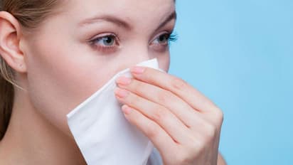 নাকের তৈলাক্ত ভাব দূর হবে ঘরোয়া টোটকার গুণে, রইল পাঁচটি প্যাকের হদিশ