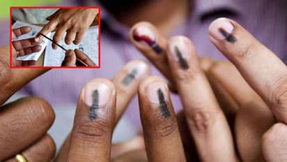 ఎన్నికల్లో వేలికి పూసే ‘‘సిరా’’ గురించి తెలుసా..?