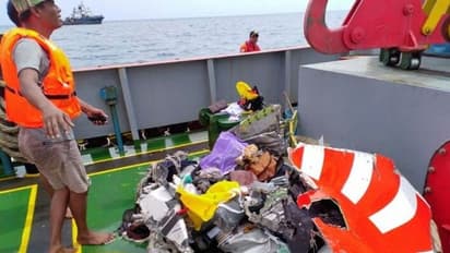 इंडोनेशिया के समुद्र में क्रैश हुआ लॉयन एयर का विमान, 189 यात्री थे सवार