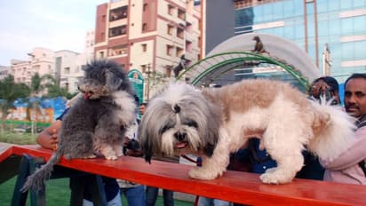 డాగ్ షోను ప్రారంభించిన ఐఎక్స్ఓఆర్ఏ ఎఫ్ఎమ్ (ఫోటోలు)