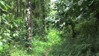 ഭൂപരിഷ്കരണത്തിന് ശേഷം വിതരണം ചെയ്യാനായത് കണ്ടെത്തിയതില് പകുതി മിച്ചഭൂമി മാത്രം