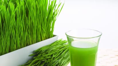 Healthy Food : ಸರ್ವ ರೋಗಕ್ಕೆ ಮದ್ದು ಈ ಗೋಧಿ ಹುಲ್ಲಿನ ಜ್ಯೂಸ್