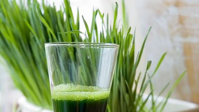 ఔషదాల గని... గోధుమ గడ్డి జ్యూస్..!