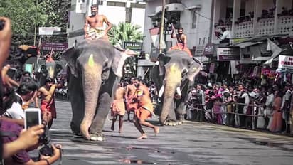 ഗുരുവായൂരില് ഇന്ന് കൊടിയേറും; ആനയോട്ടം അൽപസമയത്തിനകം