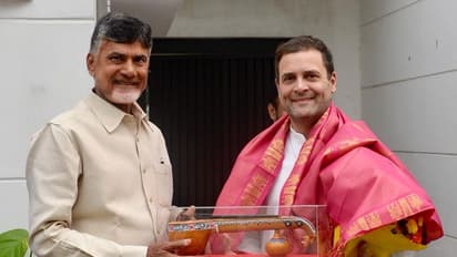 Chandrababu Naidu's 'opportunism' draws him close to Rahul Gandhi, says BJP