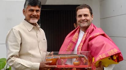 చంద్రబాబుతో రాహుల్ భేటీ ఎఫెక్ట్: కాంగ్రెసుకు వట్టి రాజీనామా