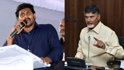 సర్వే: వైఎస్ జగన్ ప్రభంజనం, టీడీపీకి షాక్