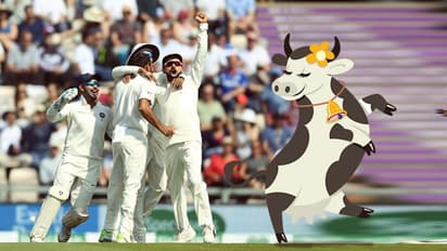 Holy cow! No beef on Team India's menu, please: BCCI tells Cricket Australia