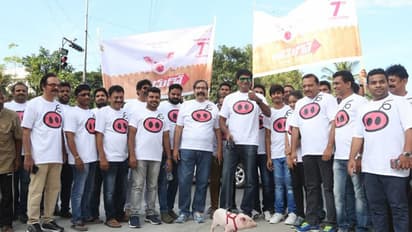 పందిపిల్లతో పాదయాత్ర: ప్రమోషన్ బాగానే వర్కౌట్ అయ్యింది!