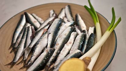 Sardines: ஊட்டச்சத்துக்கள் நிறைந்த மத்தி மீன் சாப்பிட்டால் இவ்வளவு நன்மைகள் கிடைக்குமா!