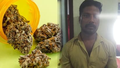 കോഴിക്കോട് അഞ്ച് കിലോ കഞ്ചാവുമായി യുവാവ് അറസ്റ്റിൽ