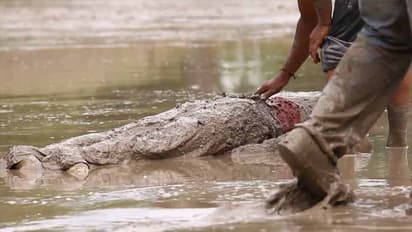 యువతిని చంపి సంచిలో కుక్కి.. నీటిలో కొట్టుకుపోకుండా చెట్టుకు కట్టారు