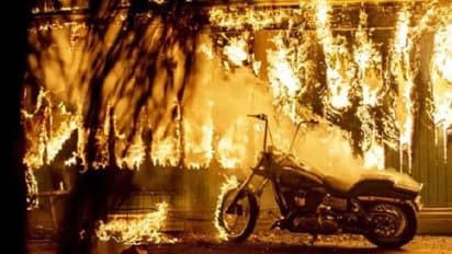 23 ಜನರನ್ನು ಬಲಿ ಪಡೆದ ಭೀಕರ ಕಾಳ್ಗಿಚ್ಚು: ಮನೆ ತೊರೆದ ಸೆಲಿಬ್ರಿಟಿಗಳು!