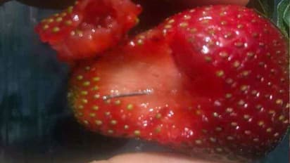 സ്ട്രോബറിക്കുള്ളില് സൂചി, ഓസ്ട്രേലിയയില് പഴങ്ങള് നിരോധിച്ചു; കാരണക്കാരിയായ 50 കാരി പിടിയില്