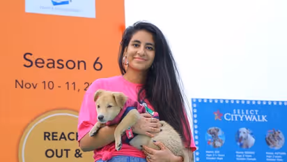 Dilwalon ki Dilli: 19 homeless dogs find loving homes at Cause For Paws event