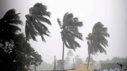 Cyclone Gaja likely to intensify, affect north Tamil Nadu and south Andhra Pradesh