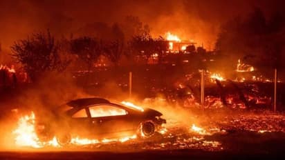 అగ్నికి ఆహుతైన సినీ తారల నివాసాలు..!