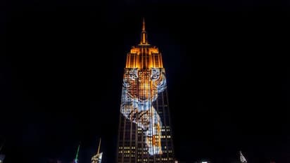 ಮೃತ ಹುಲಿ ’ಅವನಿ’ಗೆ ಅಮೆರಿಕದ ನ್ಯೂಯಾರ್ಕ್’ನಲ್ಲಿ ಗೌರವ ಸಮರ್ಪಣೆ