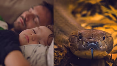 கனவில் பாம்பு வருவது நல்லதா கெட்டதா? அதுவும் இந்த பாம்பு கனவில் வந்தால் அவ்வளவுதான்..!!